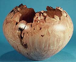 Maple Burl Hollow Vessel